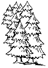 Wald.gif (34154 Byte)